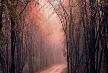 开云体育登录-国足战平国米3:2，哈兰德逆转建功德甲