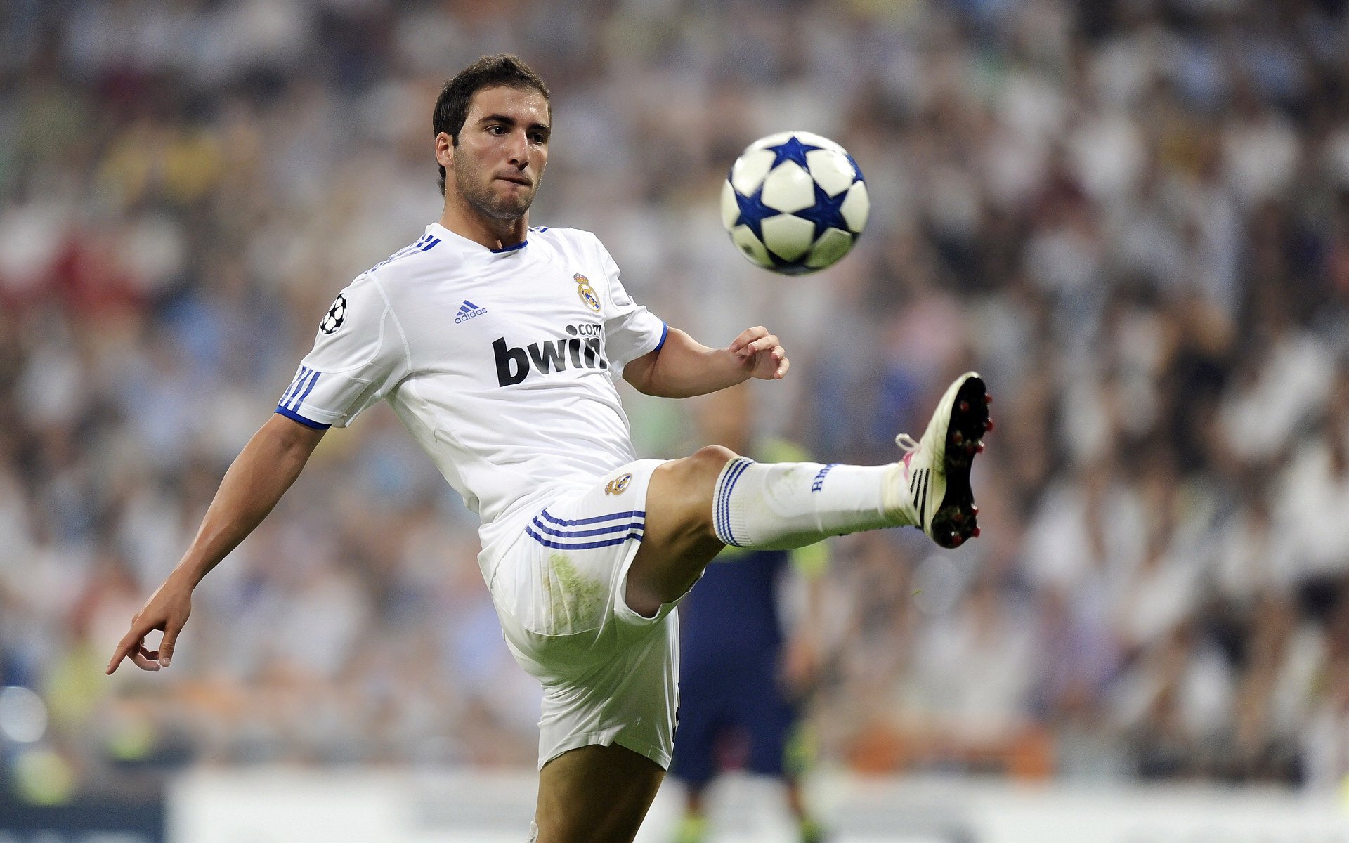 赛道与球场,当骑士击败辽宁,克莱在F1街道赛接管比赛